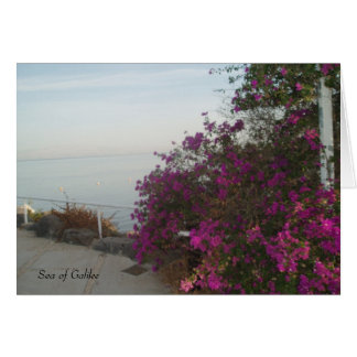 Cartão Mar da Galileia