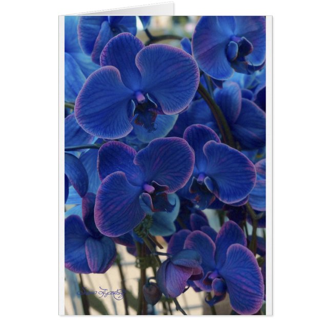 CARTÃO MAR DO AZUL (Frente)