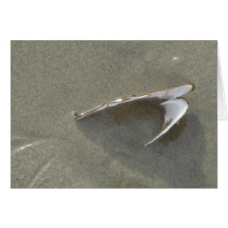 Cartão Mar enterrado Shell