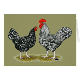 Cartão Marans: Cuckoo Pair
