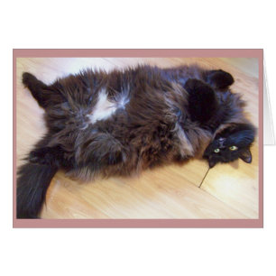 Cartão maravilhoso do dia