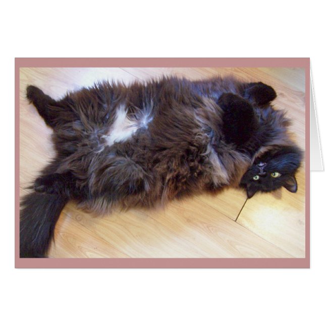 Cartão maravilhoso do dia (Frente Horizontal)