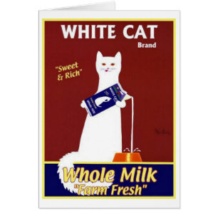 Cartão Marca Branca De Gato Leite Inteiro