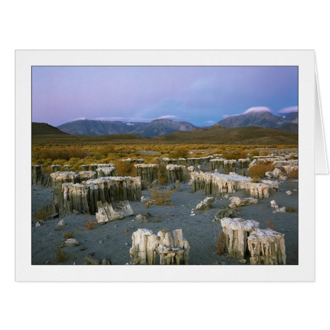 Cartão "Marca d'água antiga" (Frente horizontal)