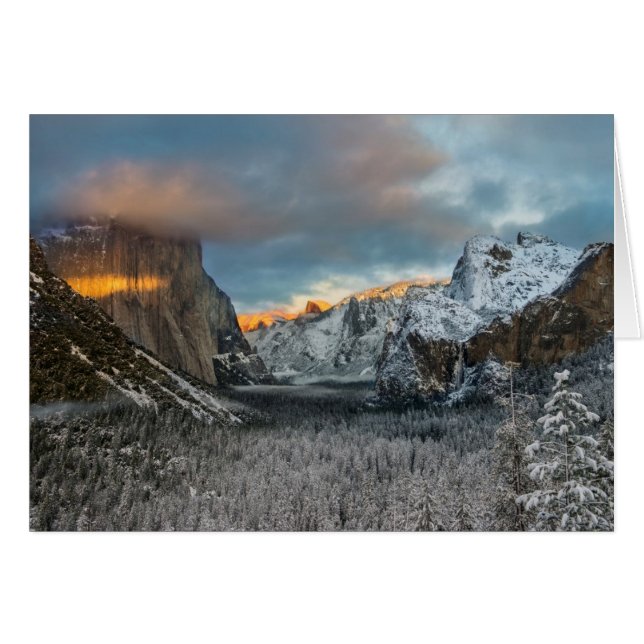 Cartão Marca de inverno (Frente Horizontal)