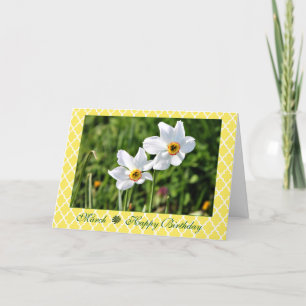 Cartão March Stunning White Jonquil Flower Birthday