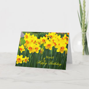 Cartão March Stunning Yellow Daffodils Birthday