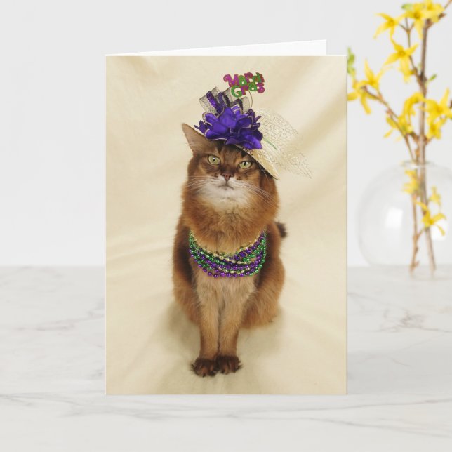 Cartão Mardi Gras Somali Cat com Miçangas e chapéus (Flor Amarela)