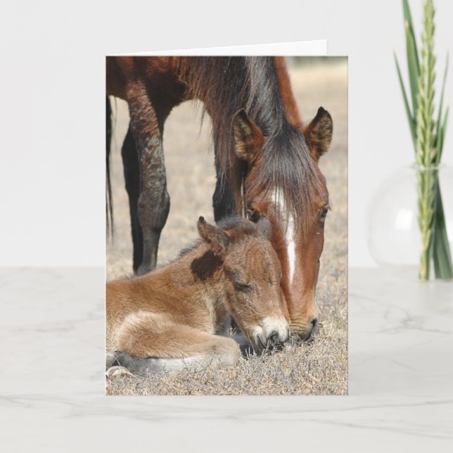 Cartão Mare com Colt (Frente)