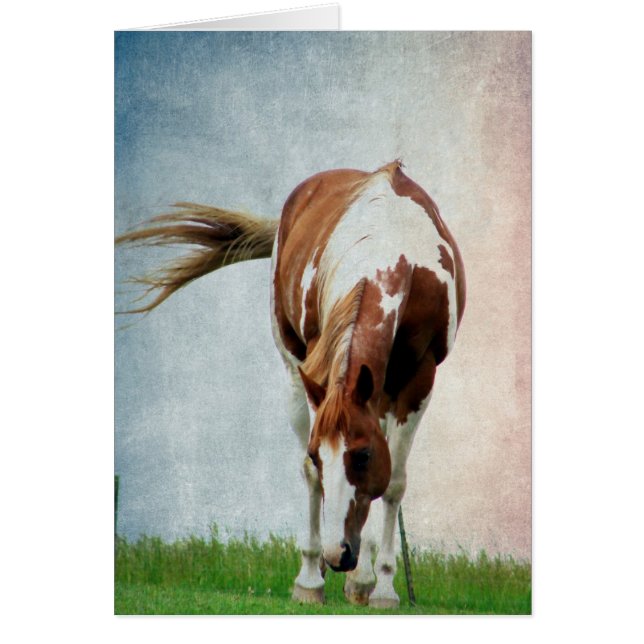 Cartão Mare de Tintas Flashy (Frente)