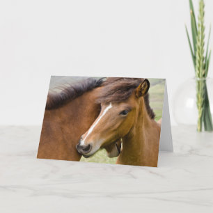 Cartão Mare E Colt