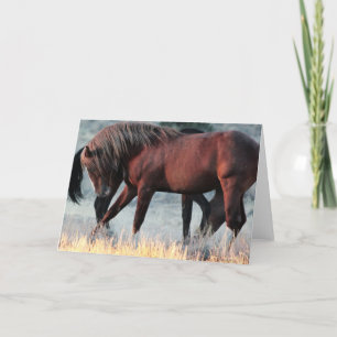 Cartão Marechal da Banda Stallion Greeting card
