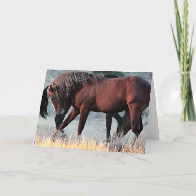 Cartão Marechal da Banda Stallion Greeting card (Frente)