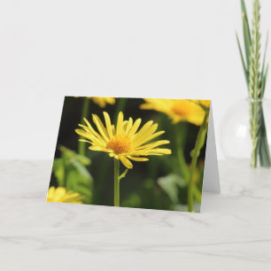 Cartão Margarida Amarela