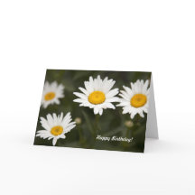 Margarida da margarida