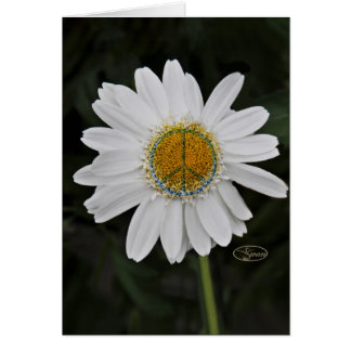 Cartão margarida da paz