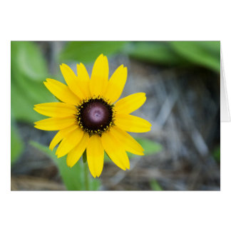 Cartão Margarida de flutuação