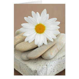 Cartão Margarida e pedras