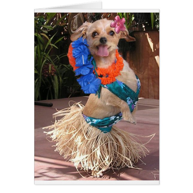 Cartão Margarida II - Margarida de Hula (Frente)