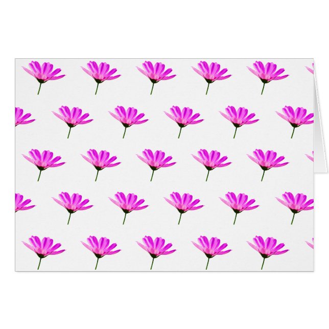 Cartão Margarida Rosa   (Frente Horizontal)