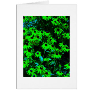 Cartão Margaridas verdes