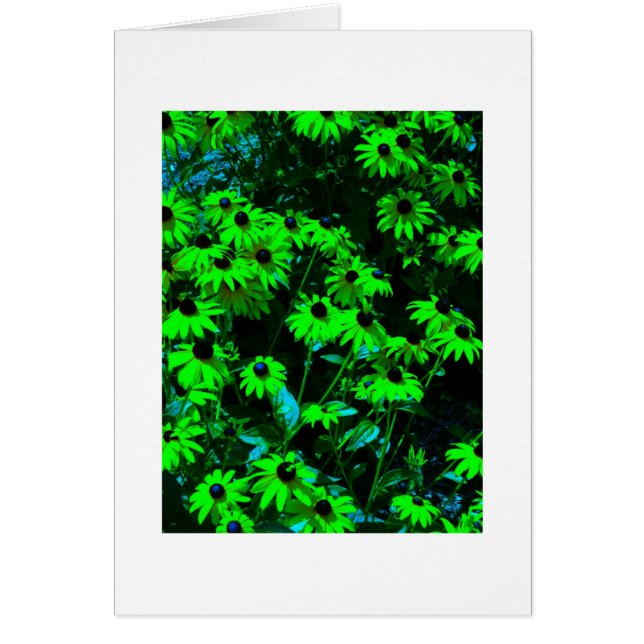 Cartão Margaridas verdes (Frente)