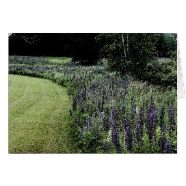 Cartão Margem de Tremoço (Frente Horizontal)