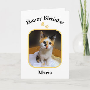 Cartão Maria Calico Kitten Feliz Aniversário