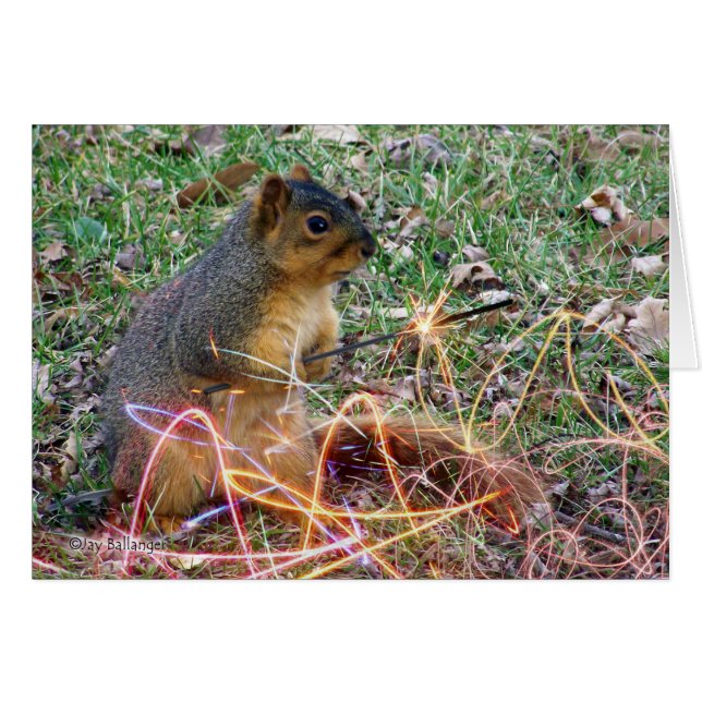 Cartão Marido Aniversário de Amor Esquilo Sparkler (Frente Horizontal)