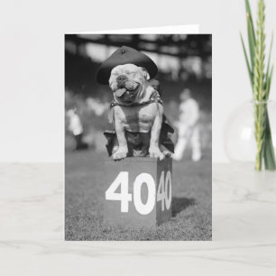 Cartão Marine Corps Mascot, 1920s