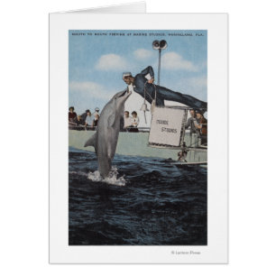 Cartão Marineland, Florida - marinheiro Mouthfeeding