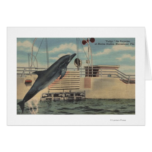Cartão Marineland, Flórida - Vista do Pudgy (Frente Horizontal)