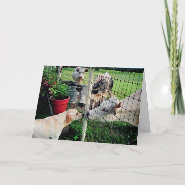 Cartão Marinheiro & amigos (Frente)