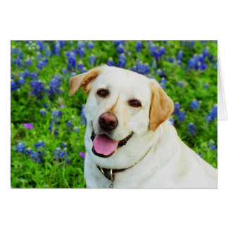 Cartão marinheiro azul