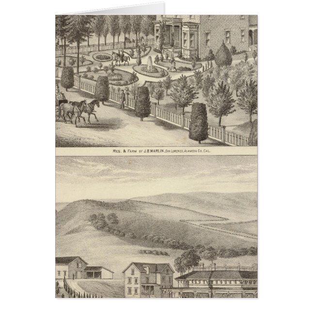 Cartão Marlin, residências finiganas, fazendas (Frente)