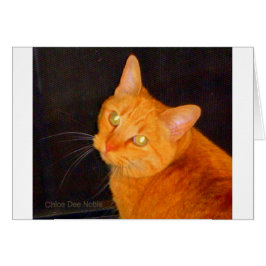 Cartão Marmalada laranja