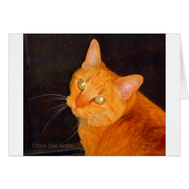 Cartão Marmalada laranja (Frente Horizontal)