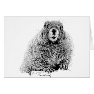 Cartão Marmota
