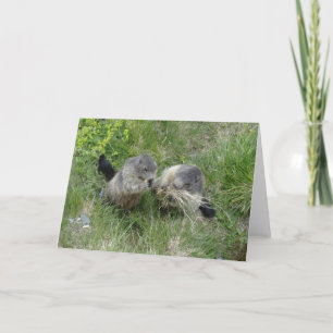 Cartão Marmots greeting card