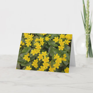 Cartão Marsh Marigold em Bloom