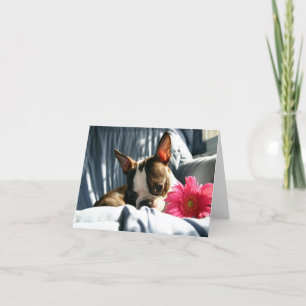 Cartão Martha e Gerber Daisy