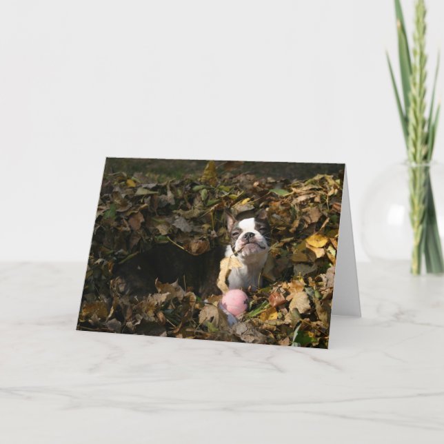 Cartão Martha fall (Frente)