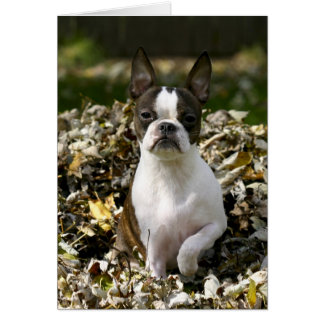 Cartão Martha Folha