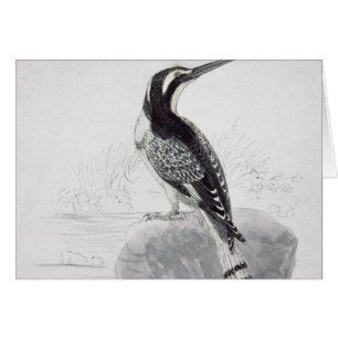 Cartão Martinho pescatore preto e branco