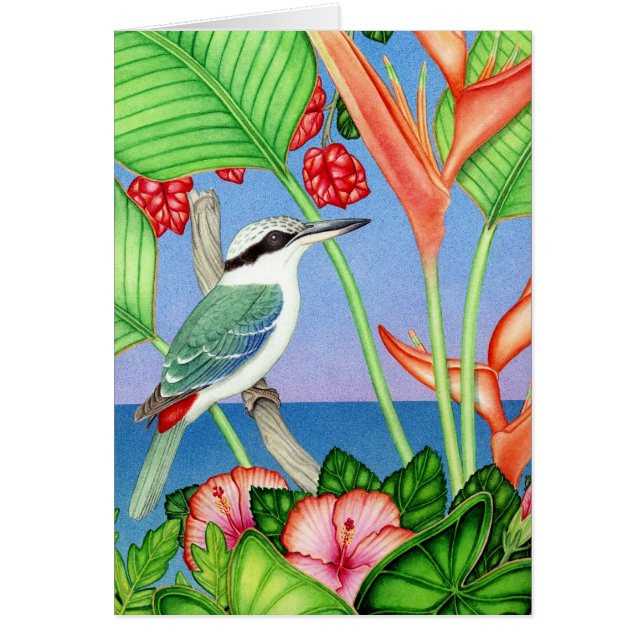 Cartão martinho pescatore Vermelho-suportado (Frente)