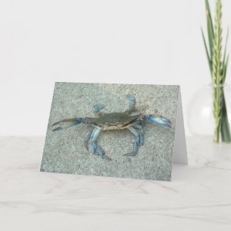 Cartão Maryland Blue Crab Greeting Card
