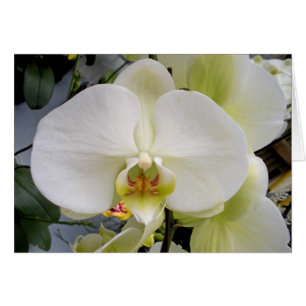 Cartão Máscara da lua