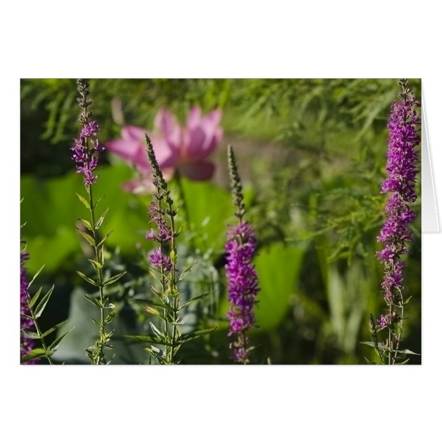 Cartão Máscaras do rosa e do roxo (Frente Horizontal)