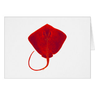 CARTÃO MÁSCARAS DO VERMELHO