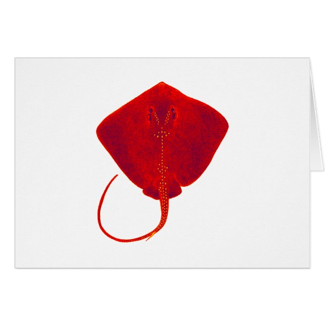 CARTÃO MÁSCARAS DO VERMELHO (Frente Horizontal)